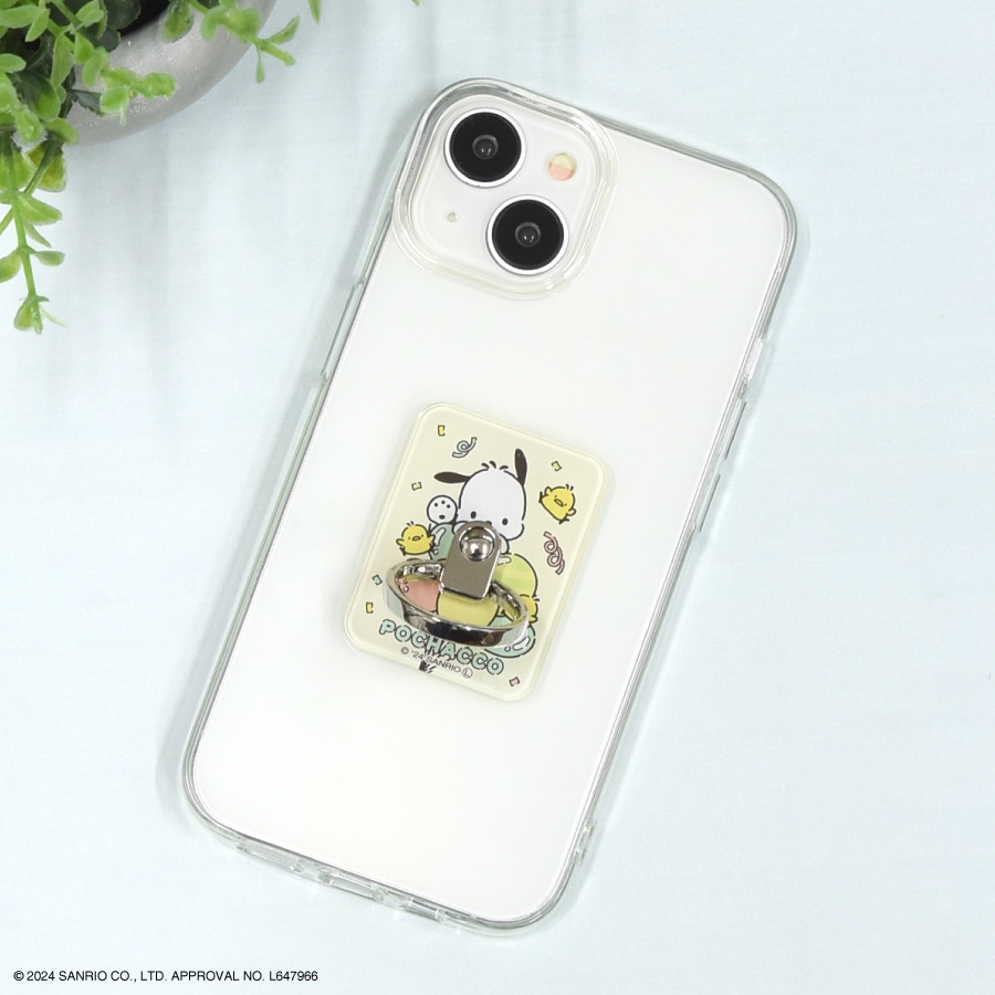 ちゃちゃこ 楽天市場】【送料無料】ちゃこちゃん特上100g 5袋セット チャコ