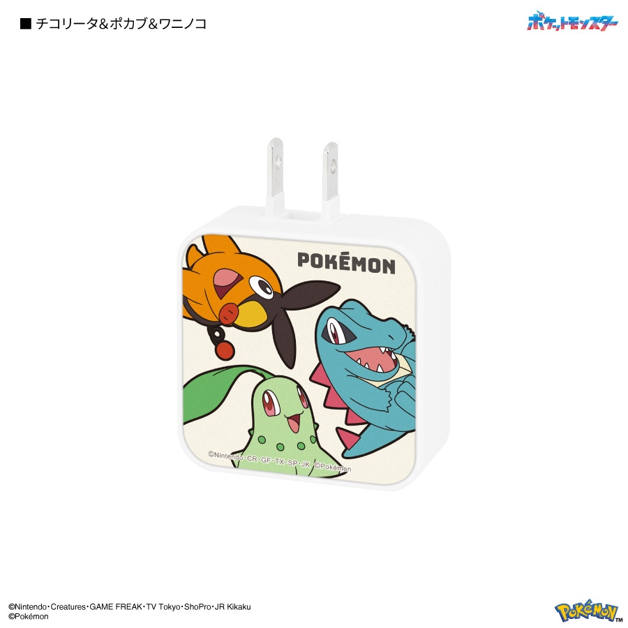 ポケットモンスター USB / USB Type-C ACアダプタ