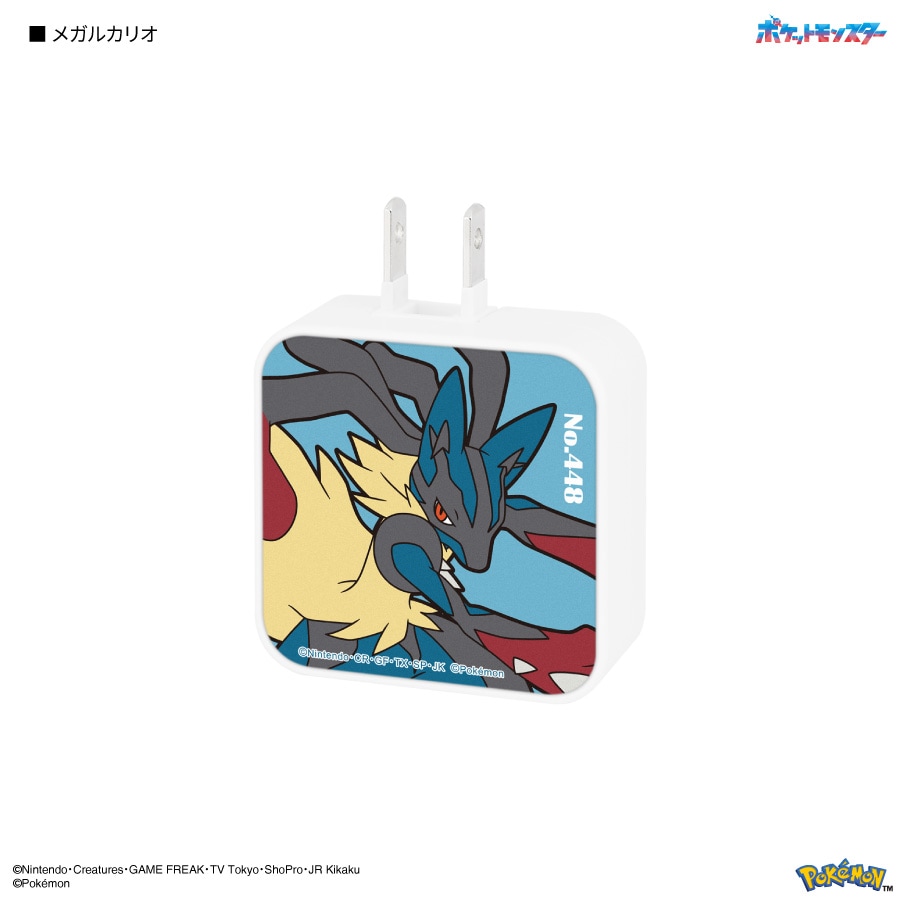 ポケットモンスター USB / USB Type-C ACアダプタ