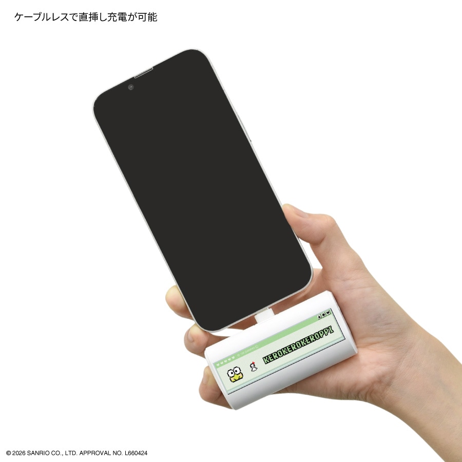サンリオキャラクターズ USB Type-C コネクタ付き リチウムイオン充電器 4000mAh