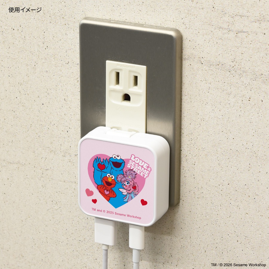 セサミストリート USB / USB Type-C ACアダプタ