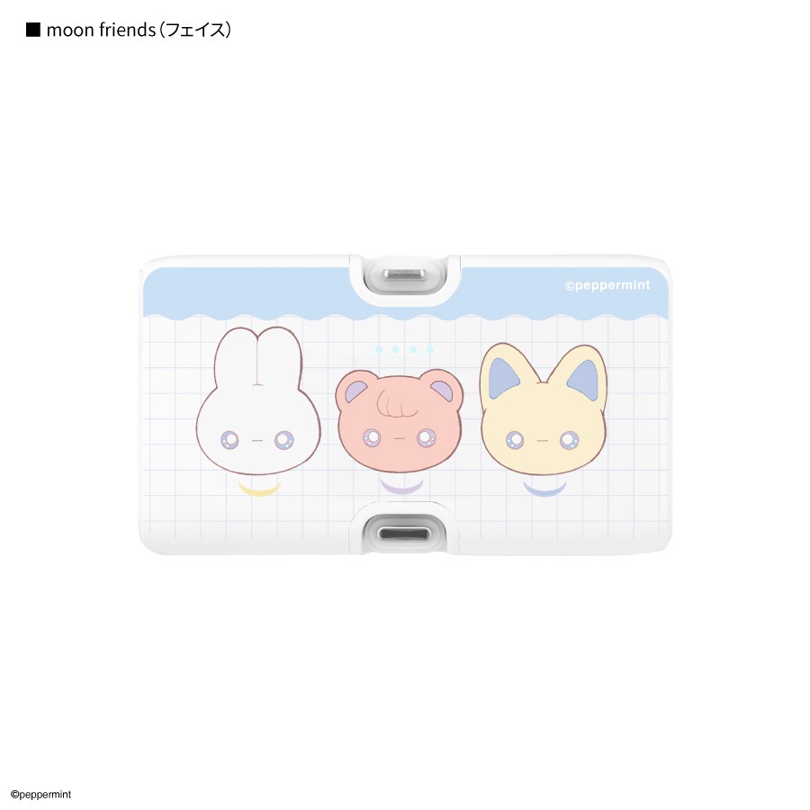 ペパーミント Lightning / Type-C コネクタ付き リチウムイオン充電器 4000mAh