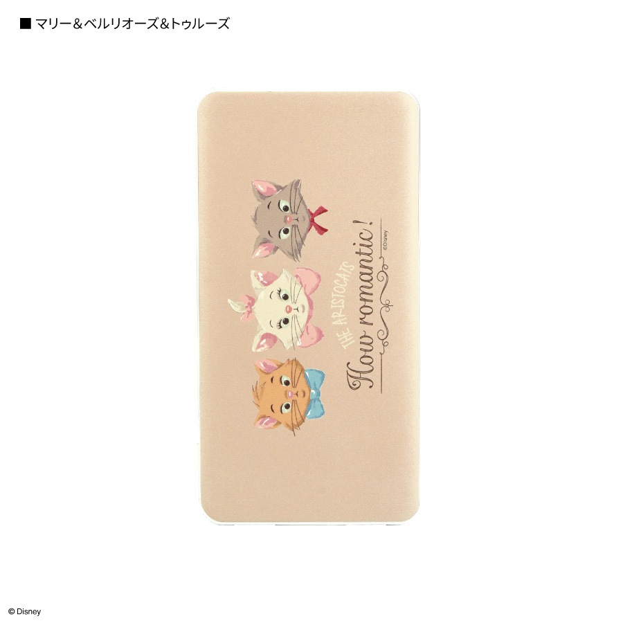 ディズニーキャラクター ／ USB / USB Type-C 4000mAh リチウムイオンポリマー 充電器 2.1A