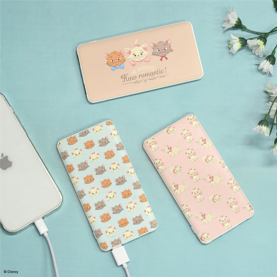 ディズニーキャラクター ／ USB / USB Type-C 4000mAh リチウムイオンポリマー 充電器 2.1A