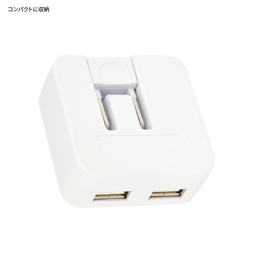 僕とロボコ USB2ポート ACアダプタ