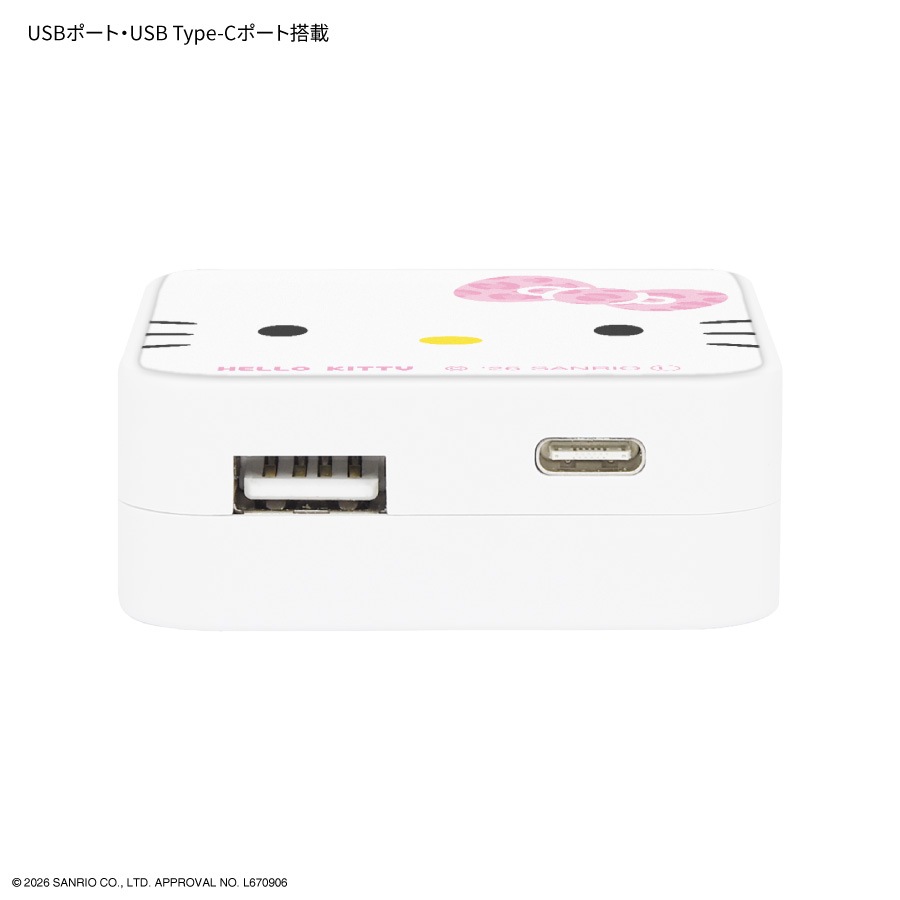サンリオキャラクターズ USB / USB Type-C ACアダプタ