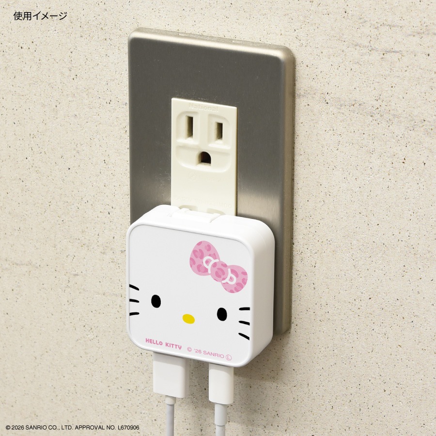 サンリオキャラクターズ USB / USB Type-C ACアダプタ