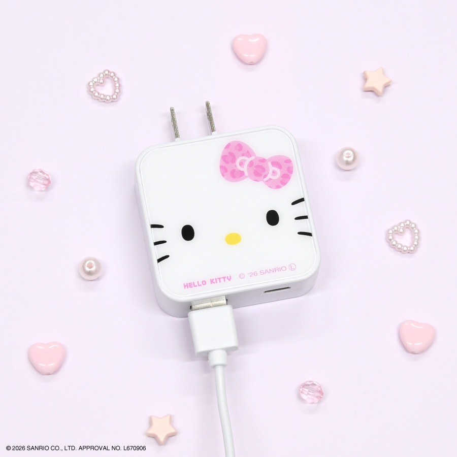 サンリオキャラクターズ USB / USB Type-C ACアダプタ