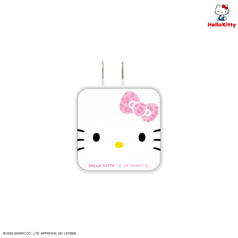 サンリオキャラクターズ USB / USB Type-C ACアダプタ