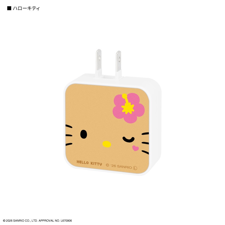 サンリオキャラクターズ USB / USB Type-C ACアダプタ
