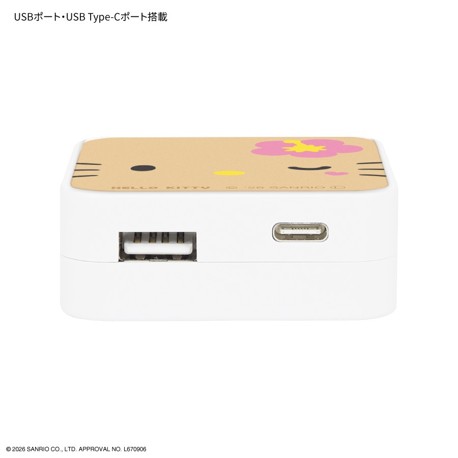 サンリオキャラクターズ USB / USB Type-C ACアダプタ