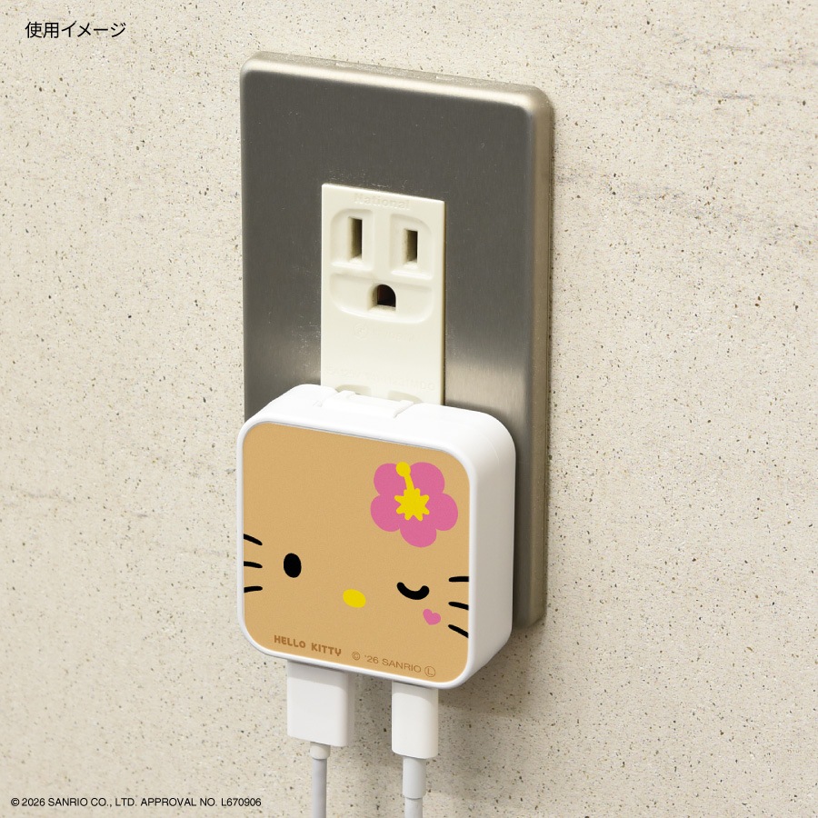 サンリオキャラクターズ USB / USB Type-C ACアダプタ