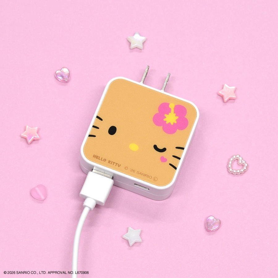 サンリオキャラクターズ USB / USB Type-C ACアダプタ