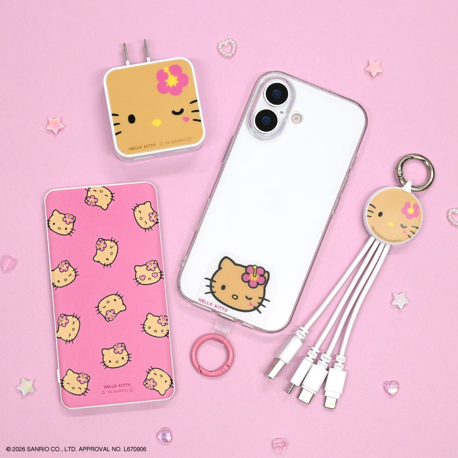 サンリオキャラクターズ USB / USB Type-C ACアダプタ