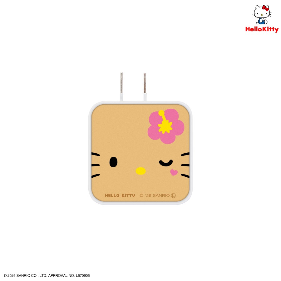 サンリオキャラクターズ USB / USB Type-C ACアダプタ