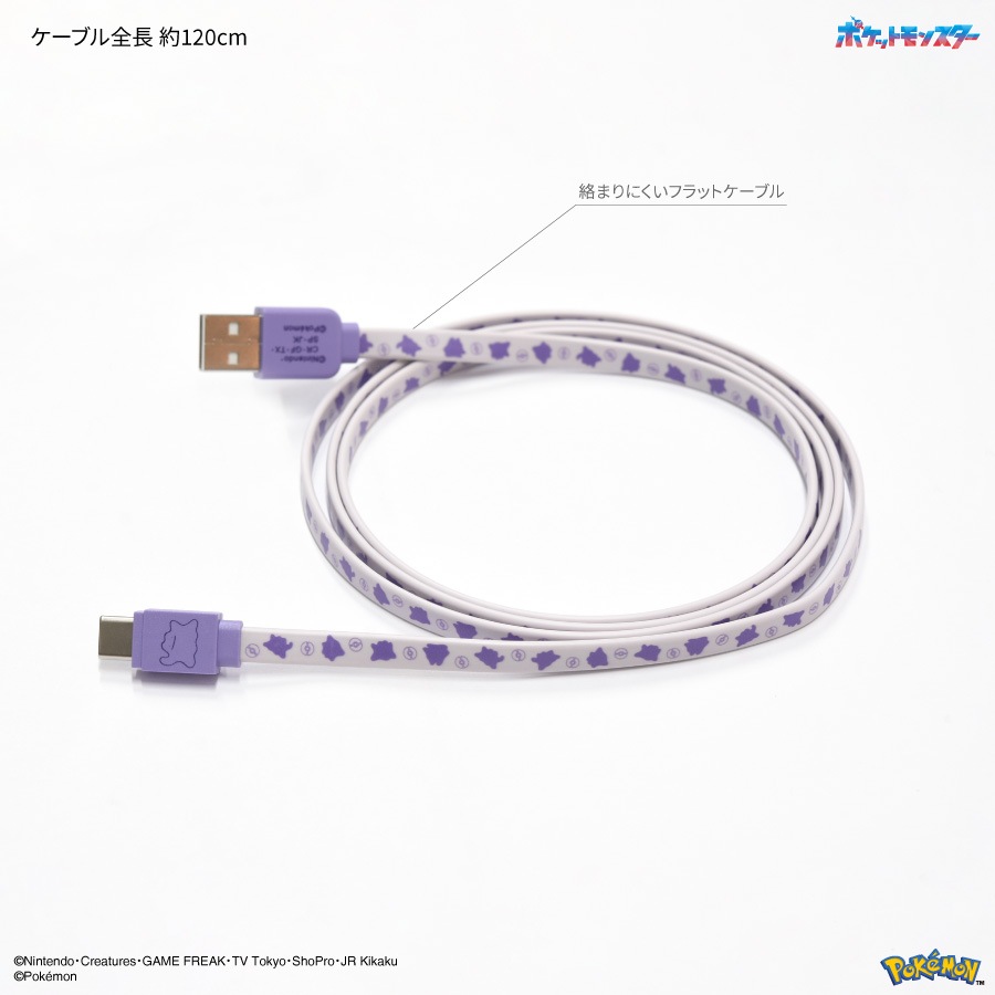 ポケットモンスター USB Type-C 対応 同期＆充電ケーブル | は行