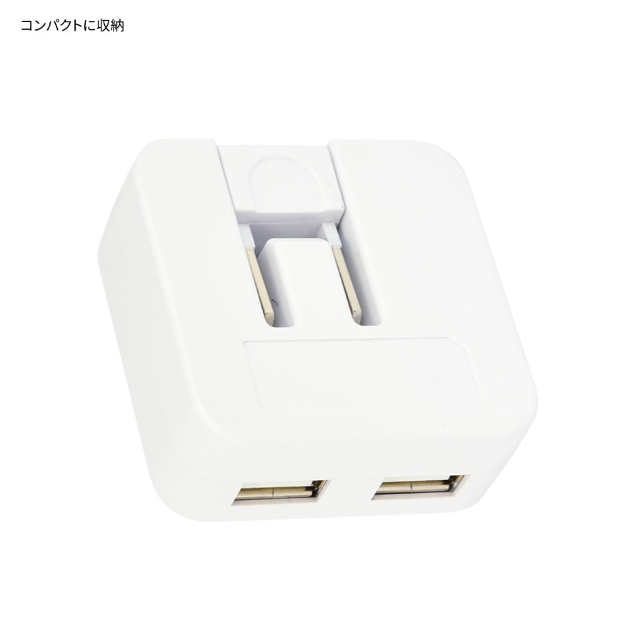 セサミストリート USB2ポート ACアダプタ