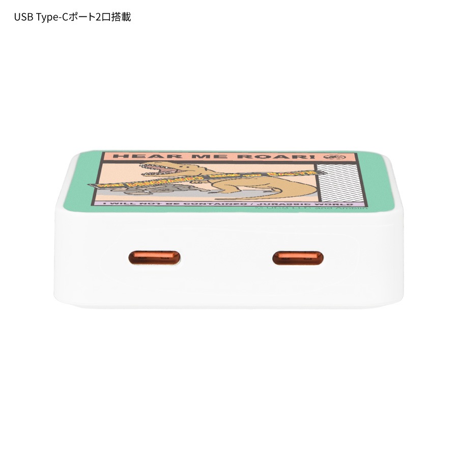 ジュラシック・ワールド USB Type-C ACアダプタ