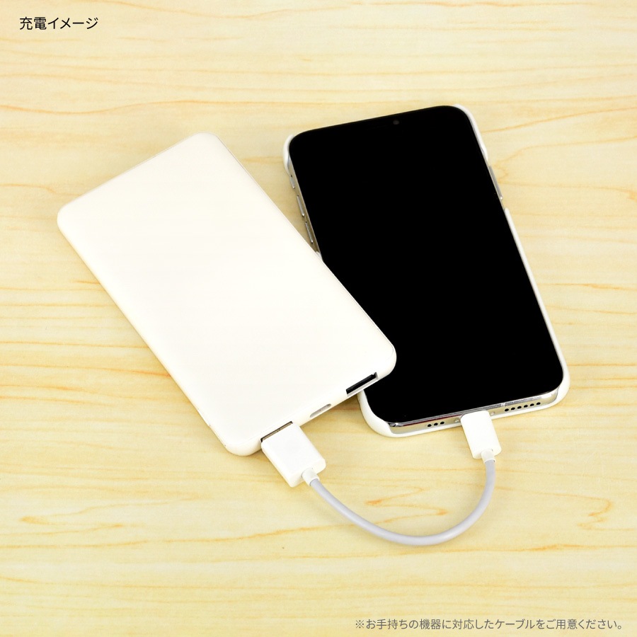 ムーミン All about Moominmamma USB / USB Type-C 4000mAh リチウムイオンポリマー充電器 2.1A
