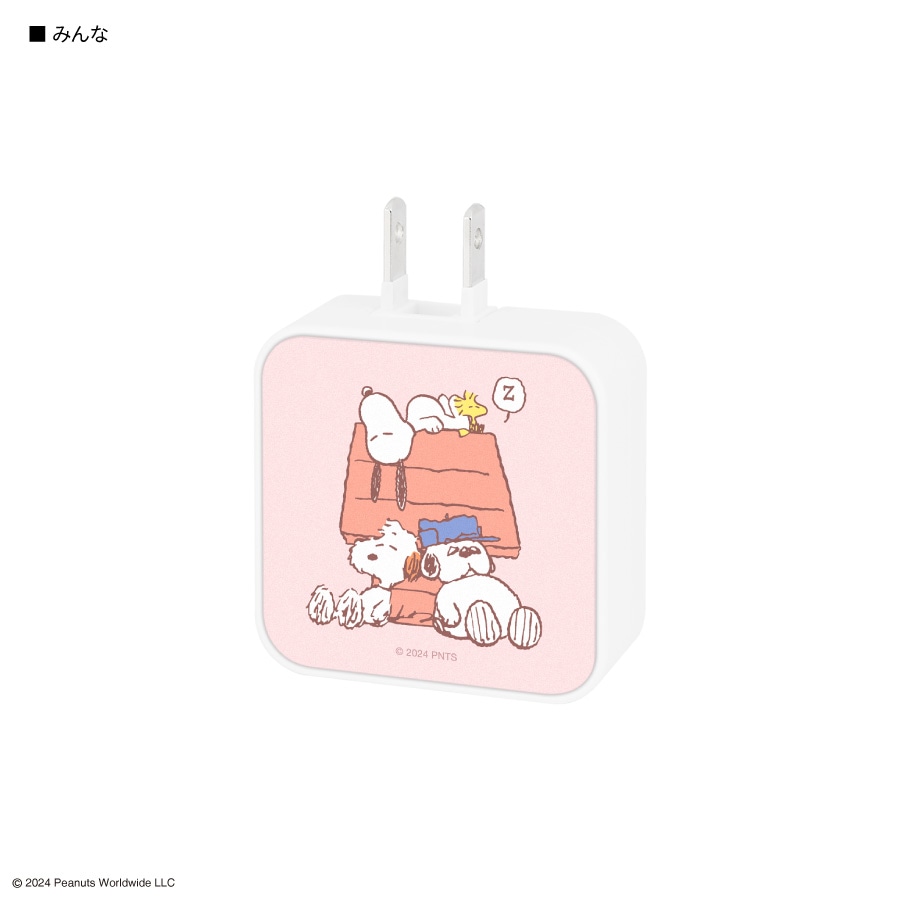 ピーナッツ スヌーピー USB / USB Type-C ACアダプタ