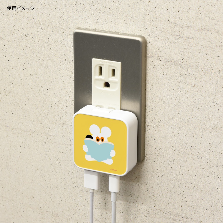 umao USB / USB Type-C AC アダプタ