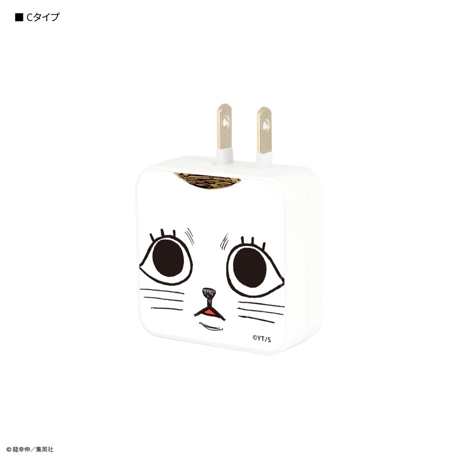 ダンダダン USB2ポート ACアダプタ