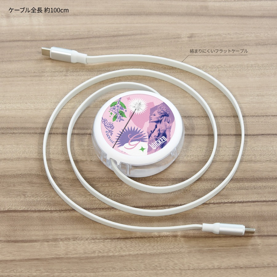 WICKED PD60W 対応 USB2.0 リール式 Type-C ケーブル