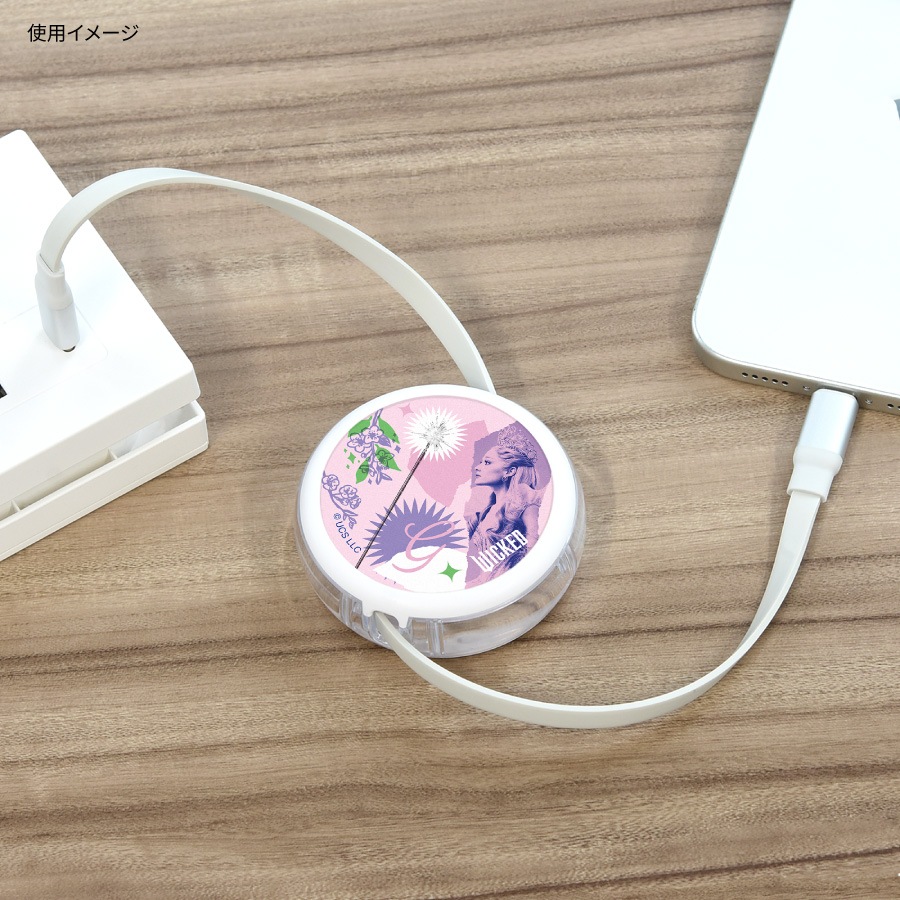 WICKED PD60W 対応 USB2.0 リール式 Type-C ケーブル