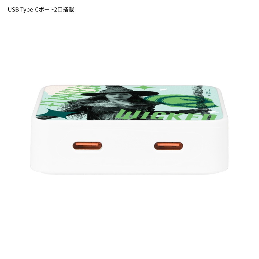 WICKED USB Type-C ACアダプタ