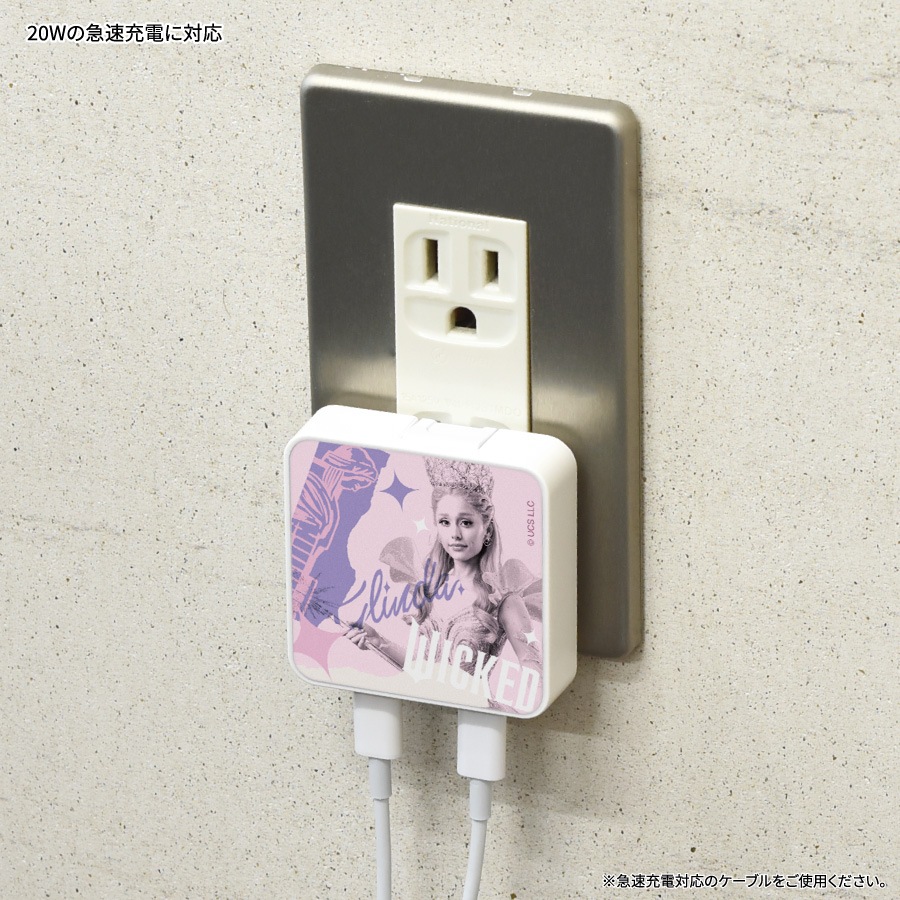 WICKED USB Type-C ACアダプタ