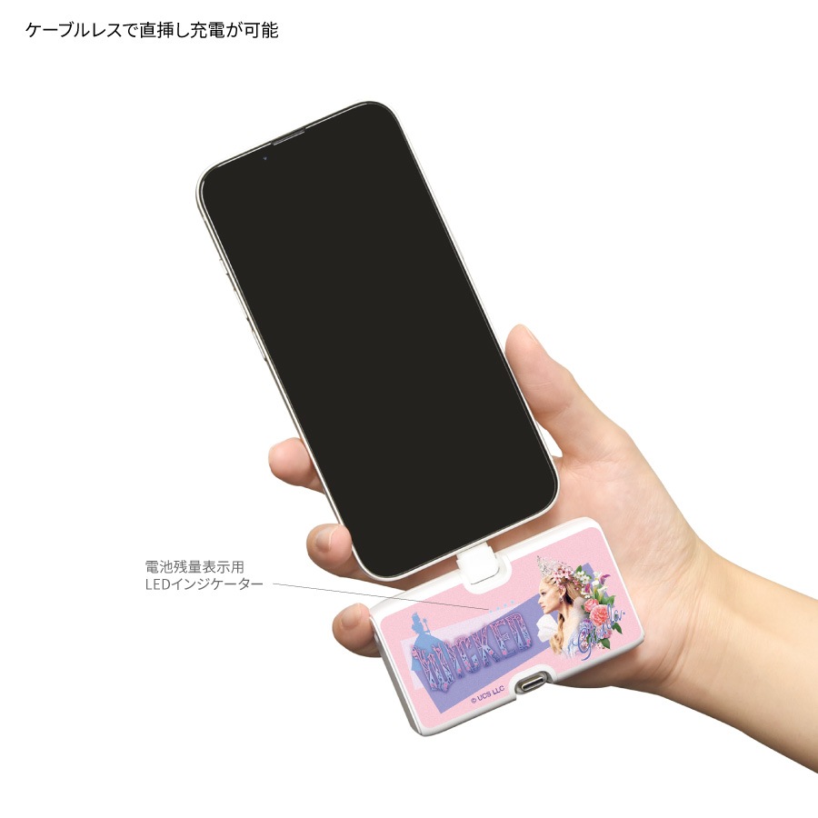 WICKED Lightning / Type-C コネクタ付き リチウムイオン充電器 4000mAh