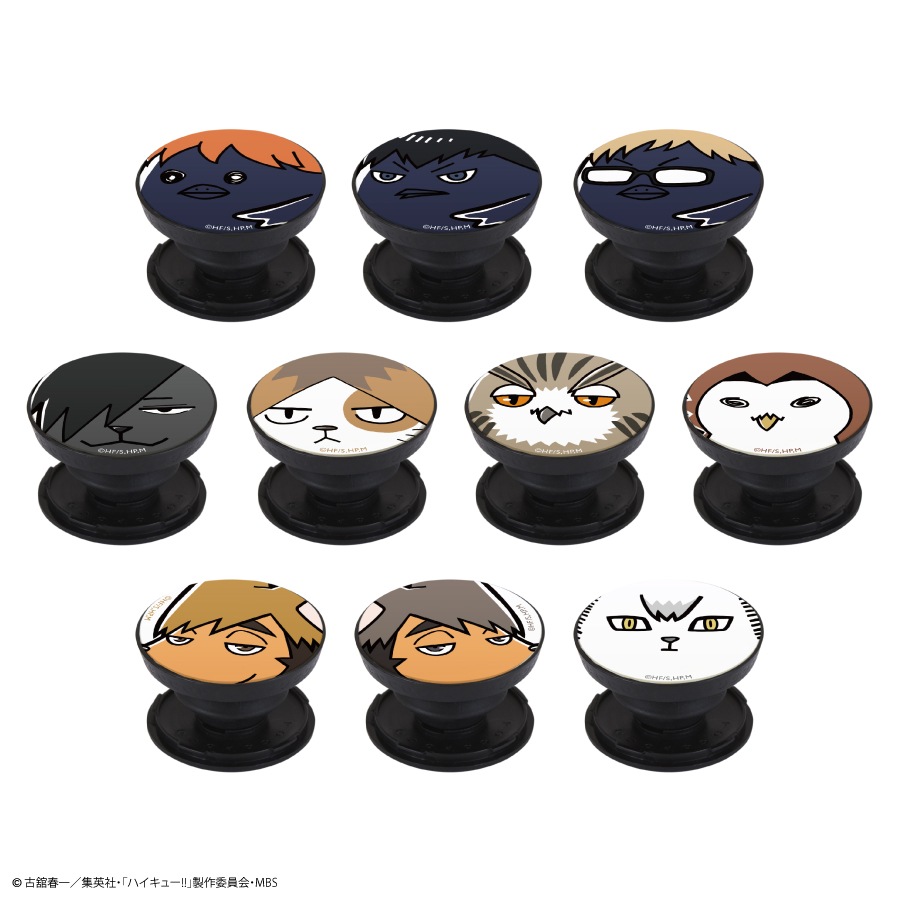 ハイキュー色々 ハイキュー!! POCOPOCO | すべての商品 | | グルマンディーズ