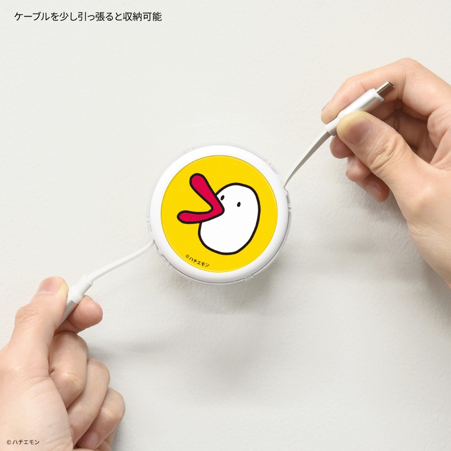 11月中旬発売予定 ハチエモン PD60W 対応 USB2.0 リール式 Type