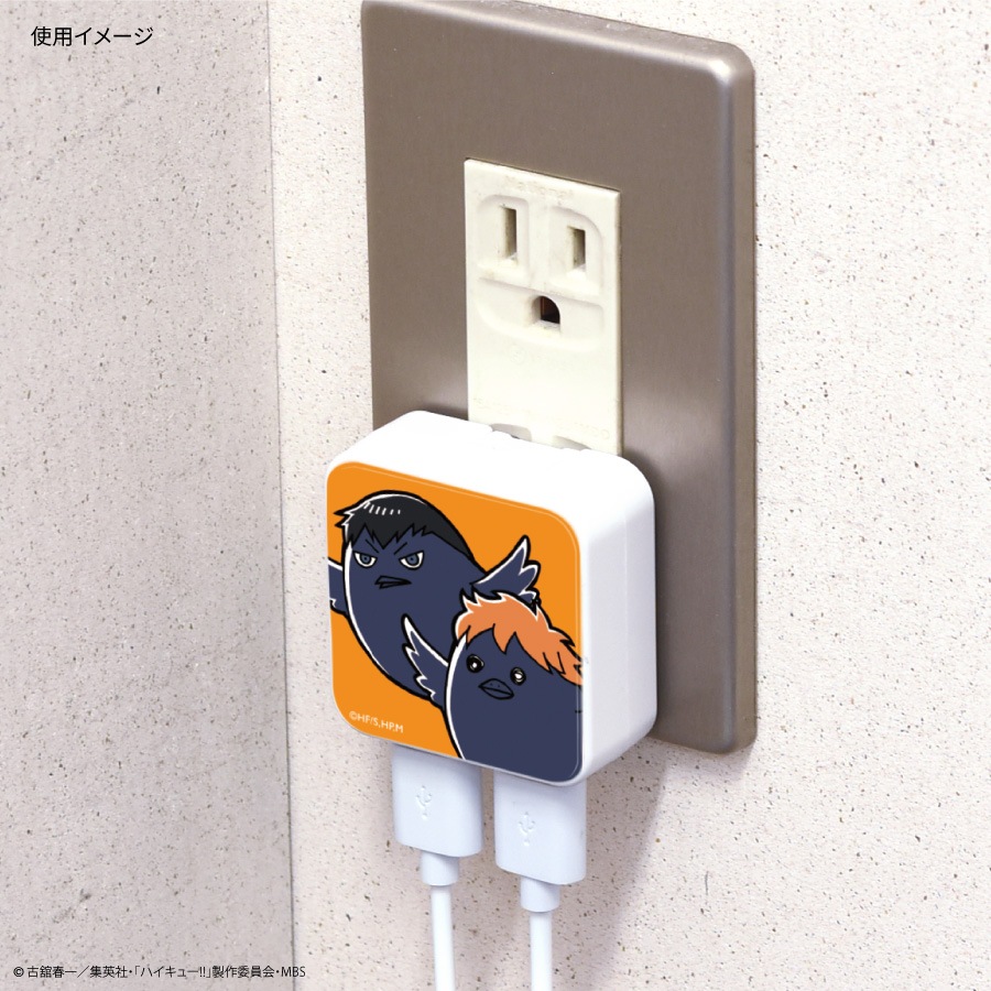 ハイキュー!! USB2ポート ACアダプタ