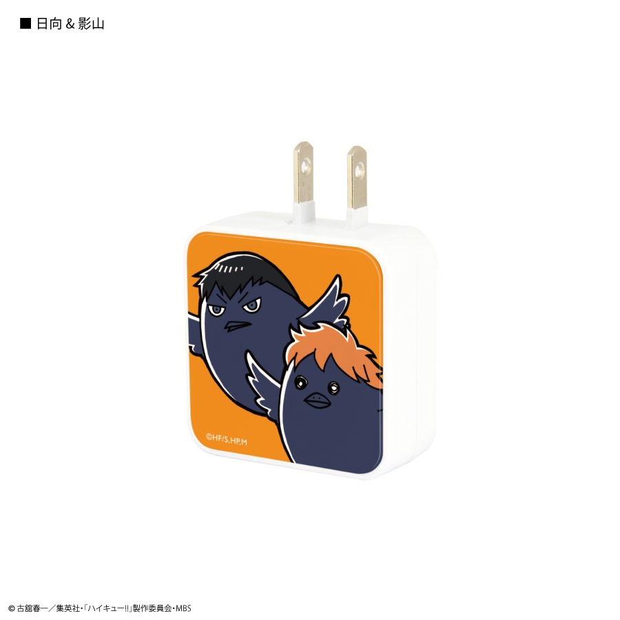 ハイキュー!! USB2ポート ACアダプタ
