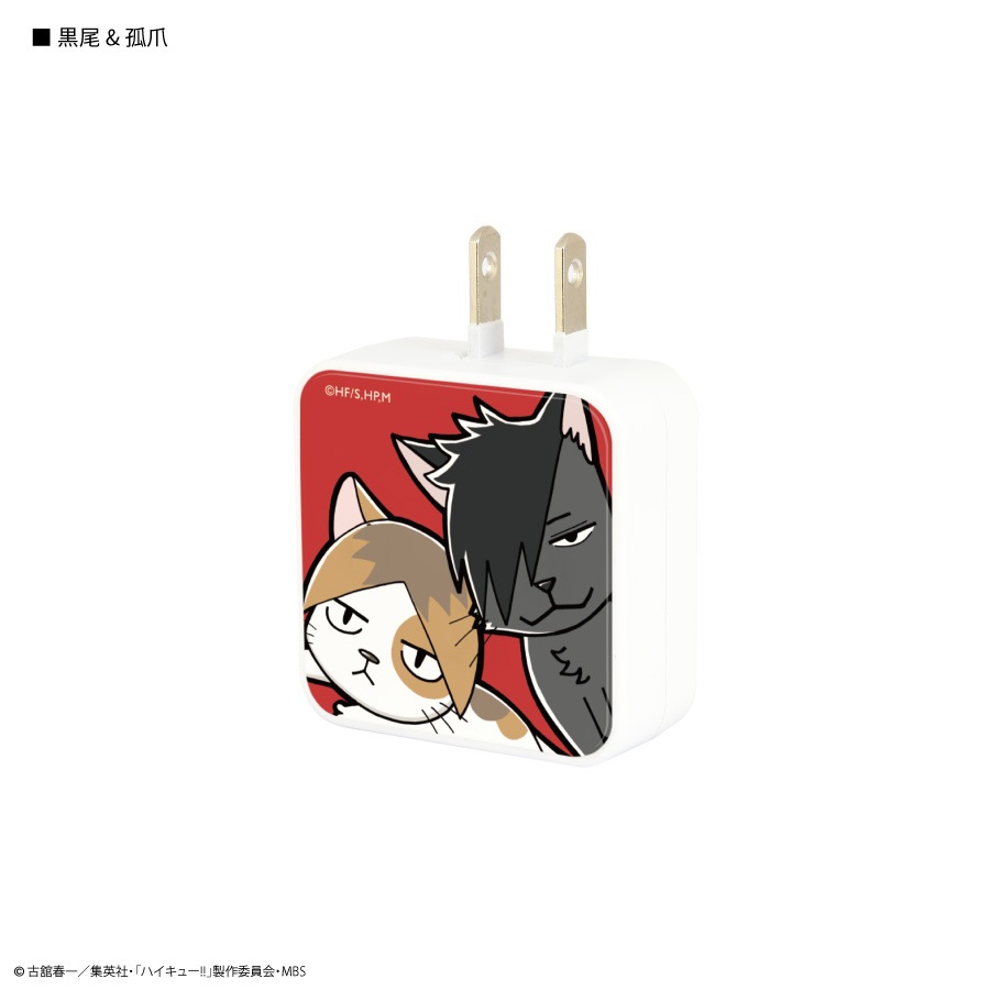 ハイキュー!! USB2ポート ACアダプタ