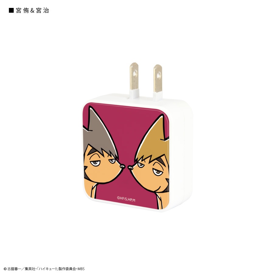 ハイキュー!! USB2ポート ACアダプタ