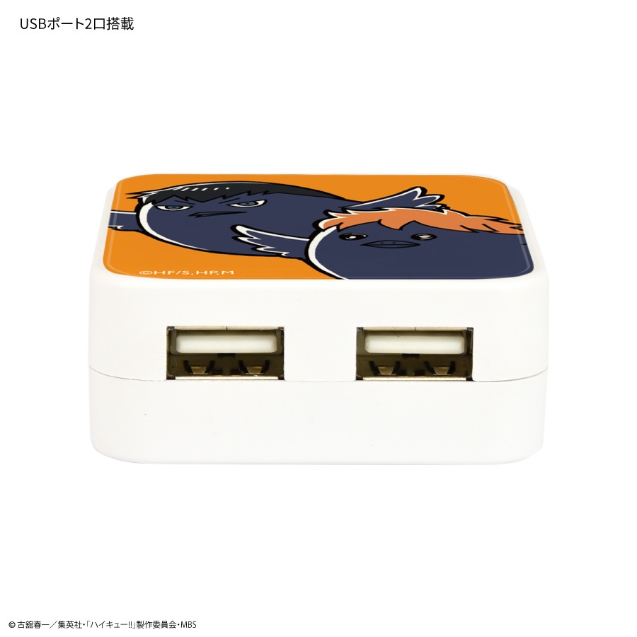 ハイキュー!! USB2ポート ACアダプタ