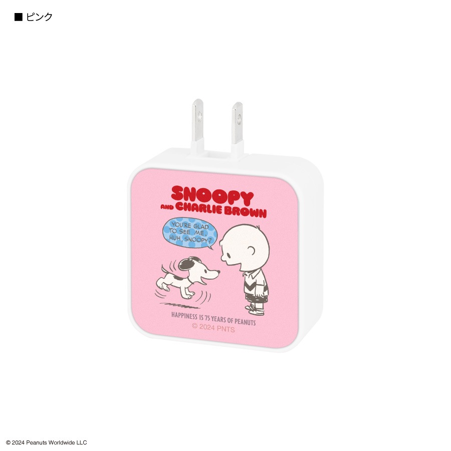 ピーナッツ スヌーピー USB / USB Type-C ACアダプタ