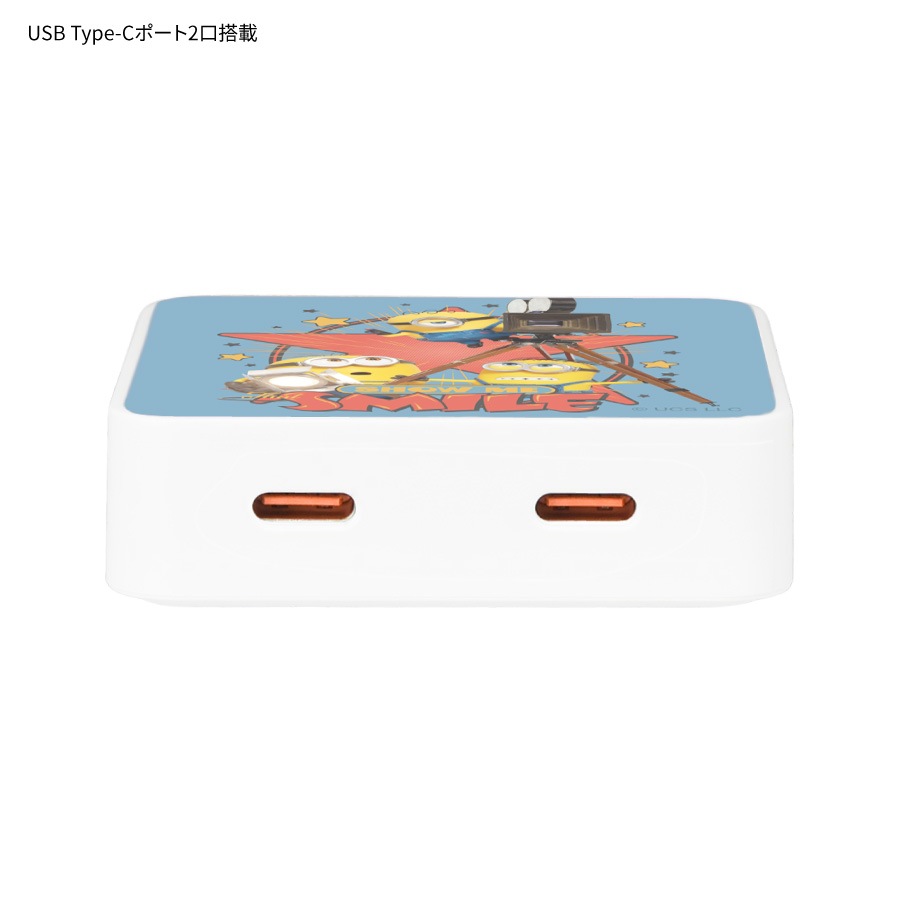 『ミニオンズ&モンスターズ』シリーズ USB Type-C ACアダプタ