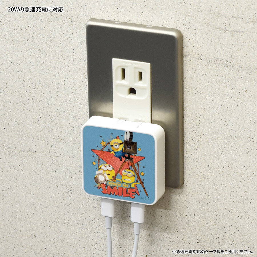 『ミニオンズ&モンスターズ』シリーズ USB Type-C ACアダプタ