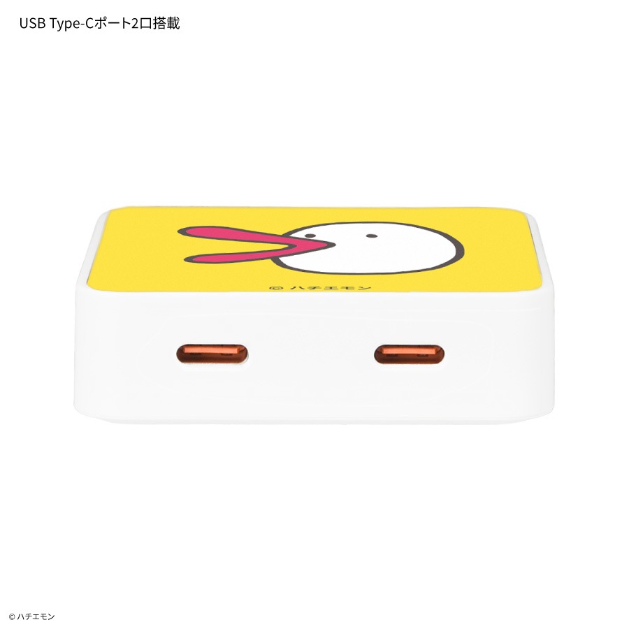 ハチエモン USB Type-C ACアダプタ
