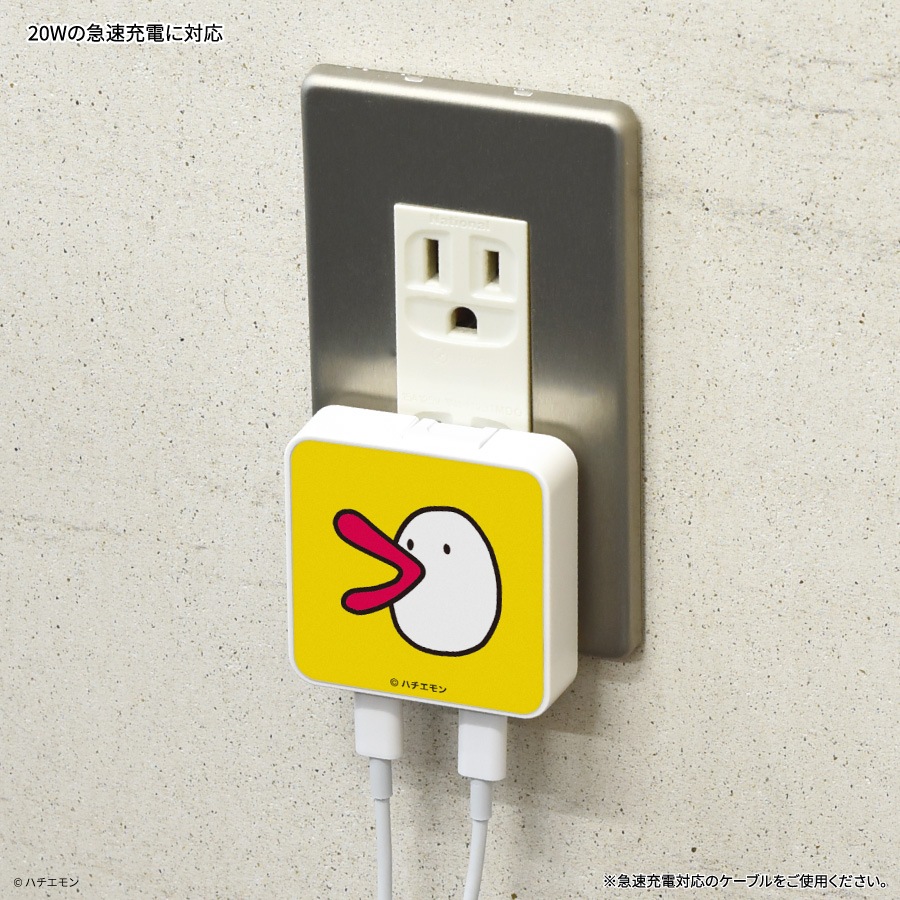 ハチエモン USB Type-C ACアダプタ