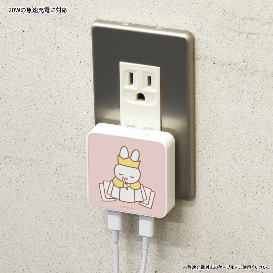ミッフィー USB Type-C ACアダプタ