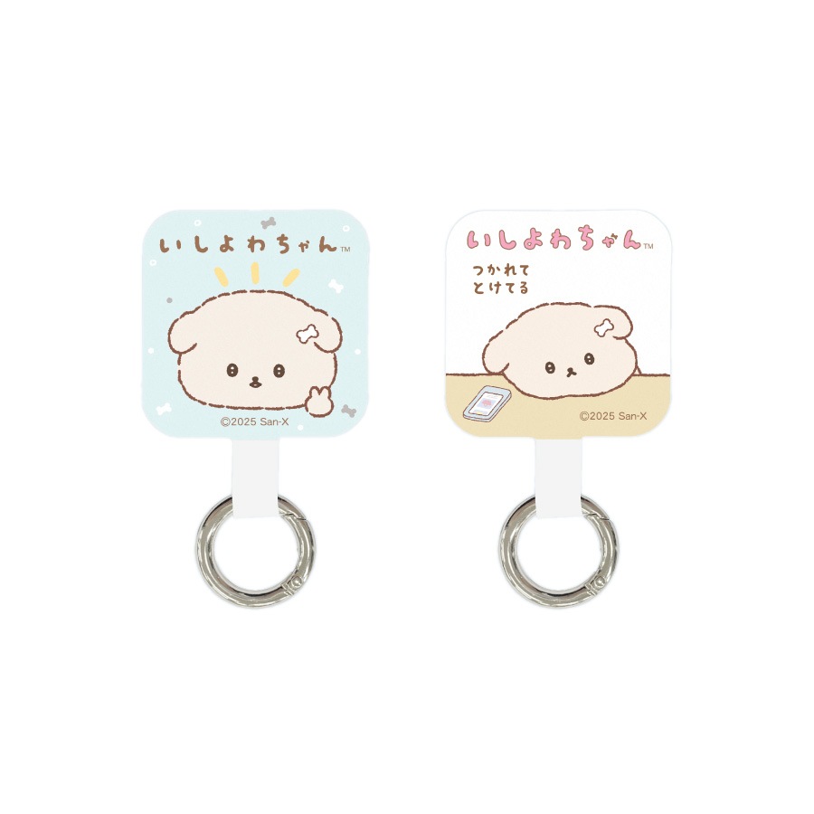 いしよわちゃん マルチリングプラス