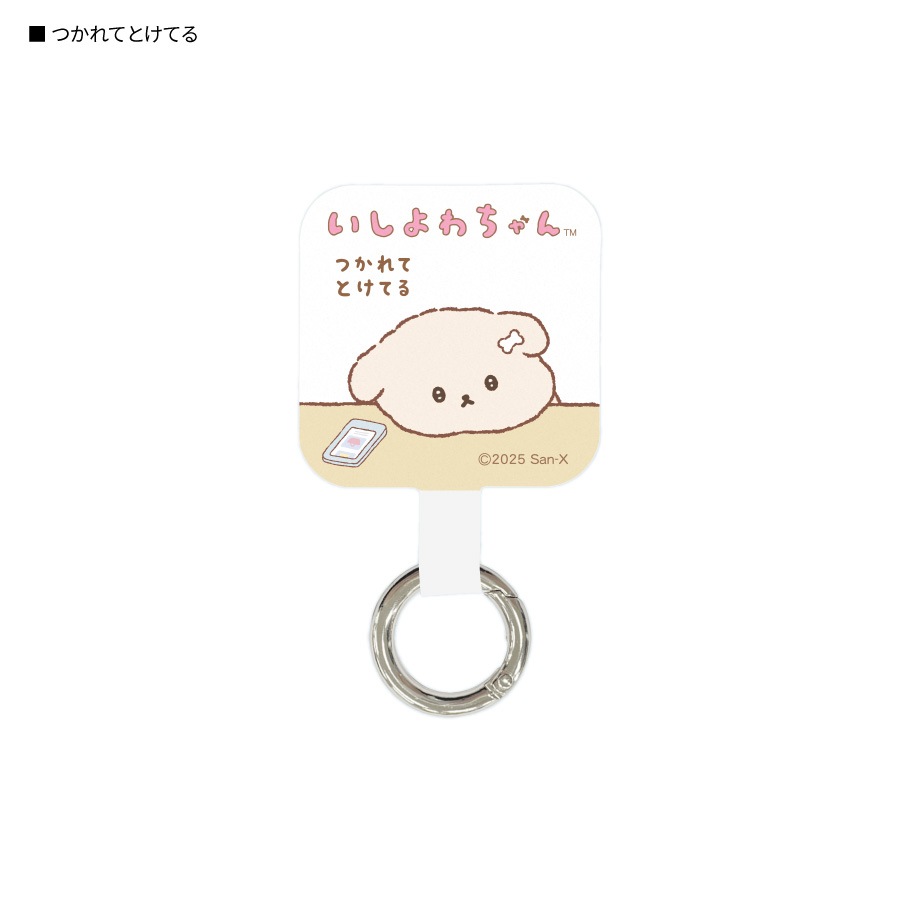 いしよわちゃん マルチリングプラス