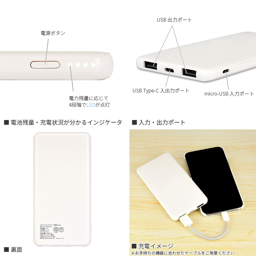 『ディズニー ツイステッドワンダーランド』｜ USB/USB Type-C 4000mAh リチウムイオンポリマー充電器 2.1A