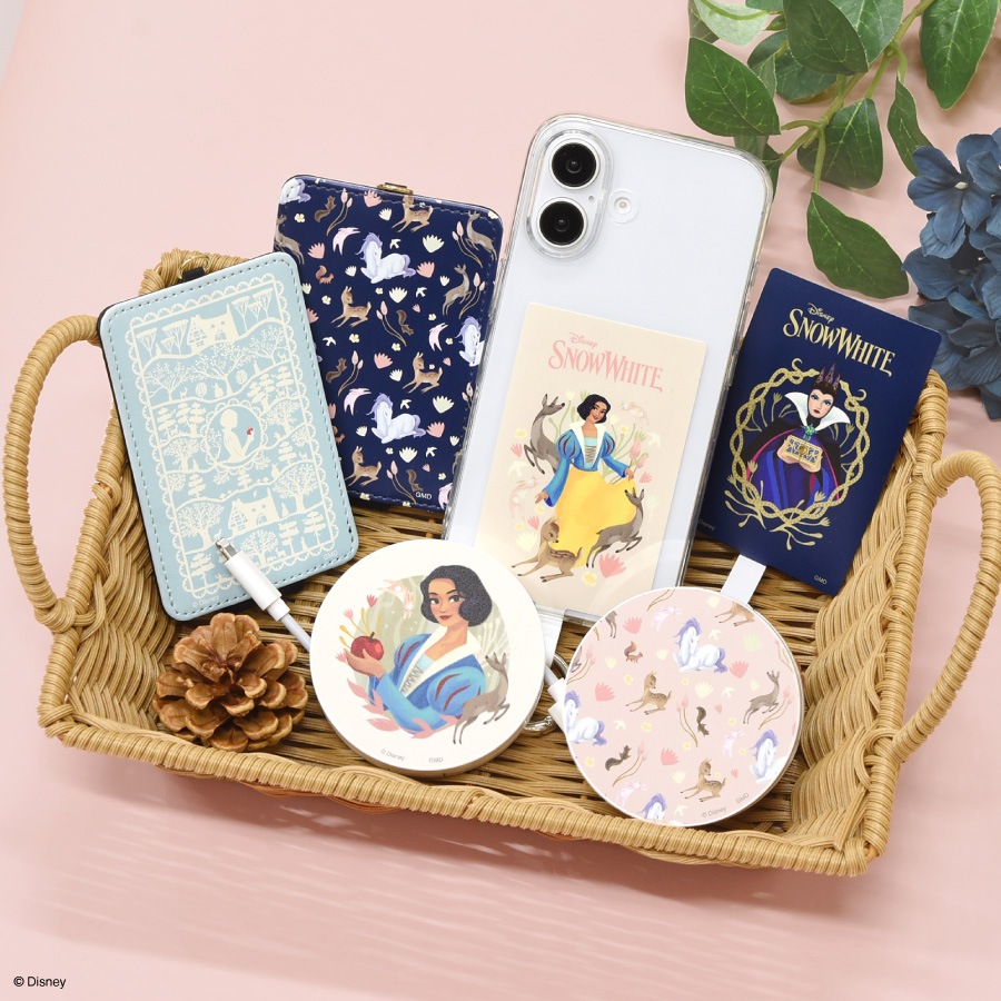 ディズニーキャラクター ／ マルチリングプラス Lサイズ