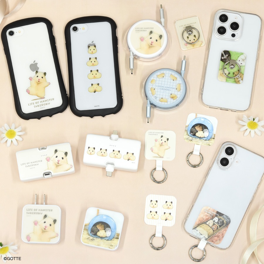 助六の日常 USB / USB Type-C ACアダプタ