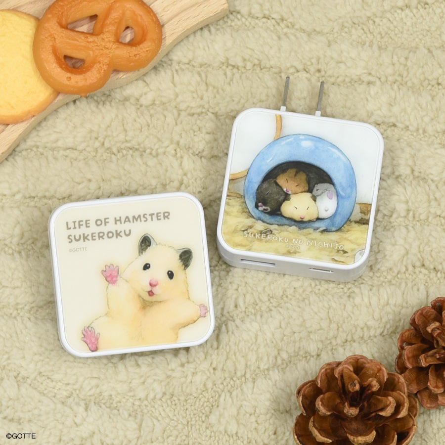 助六の日常 USB / USB Type-C ACアダプタ